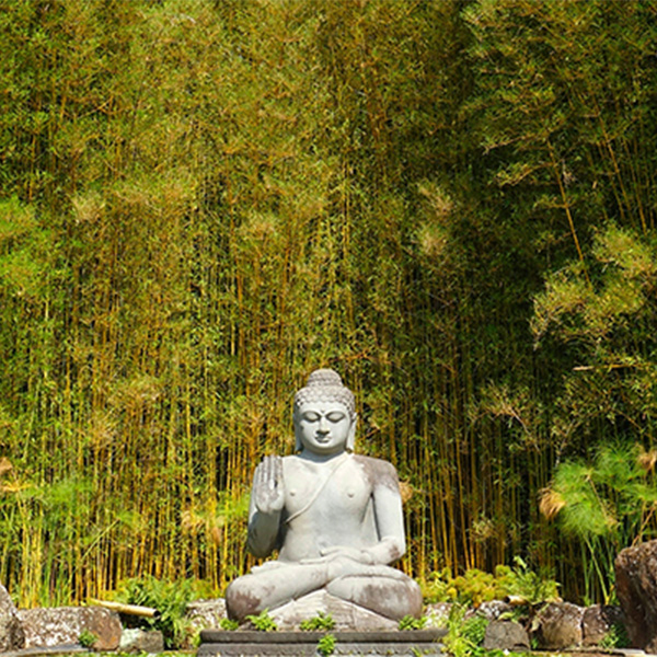 Buddha statue outdoors.