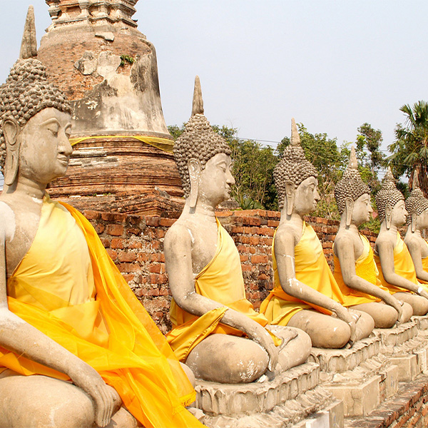 Statues Buddha.