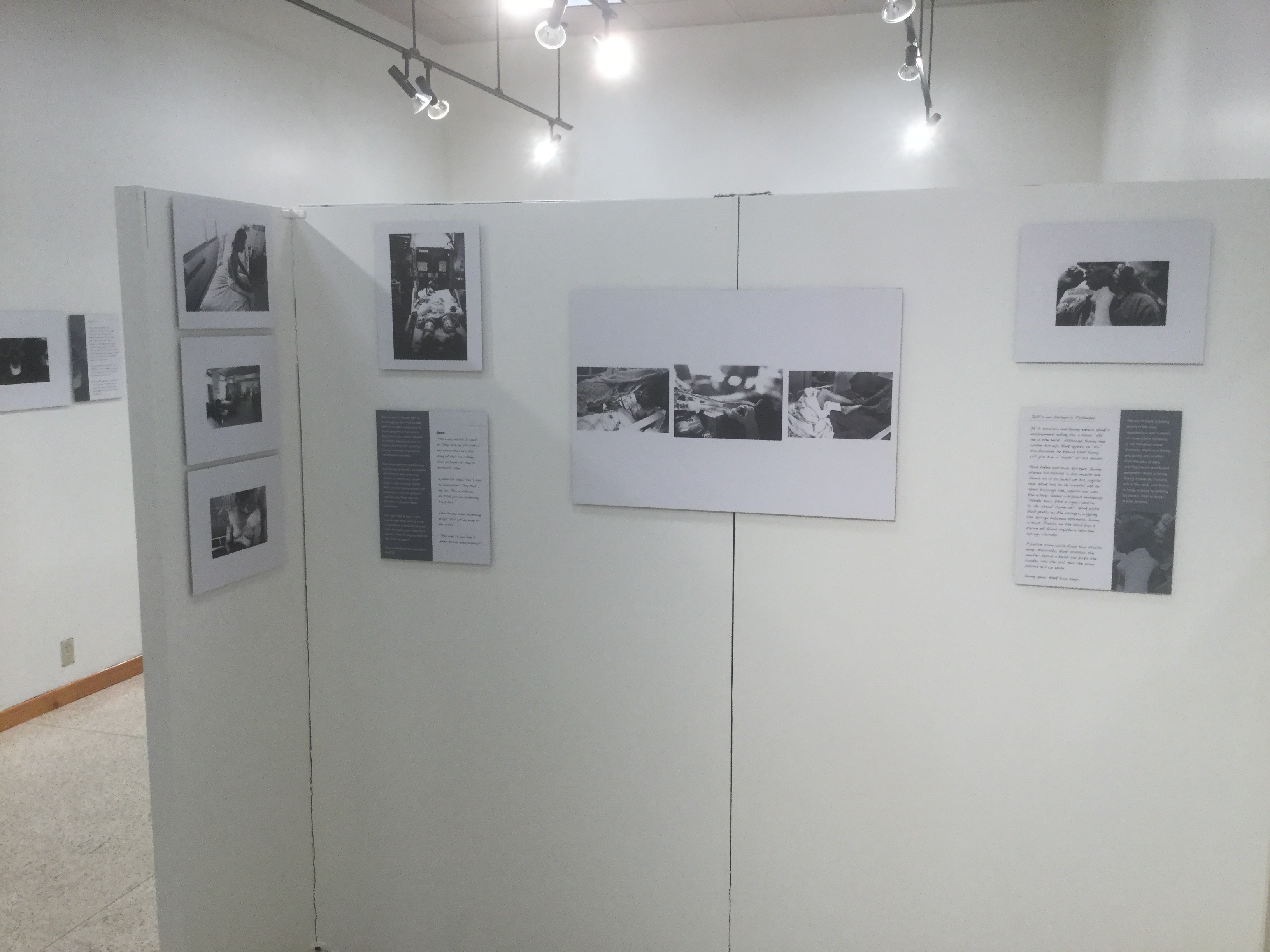 Exhibit Picture