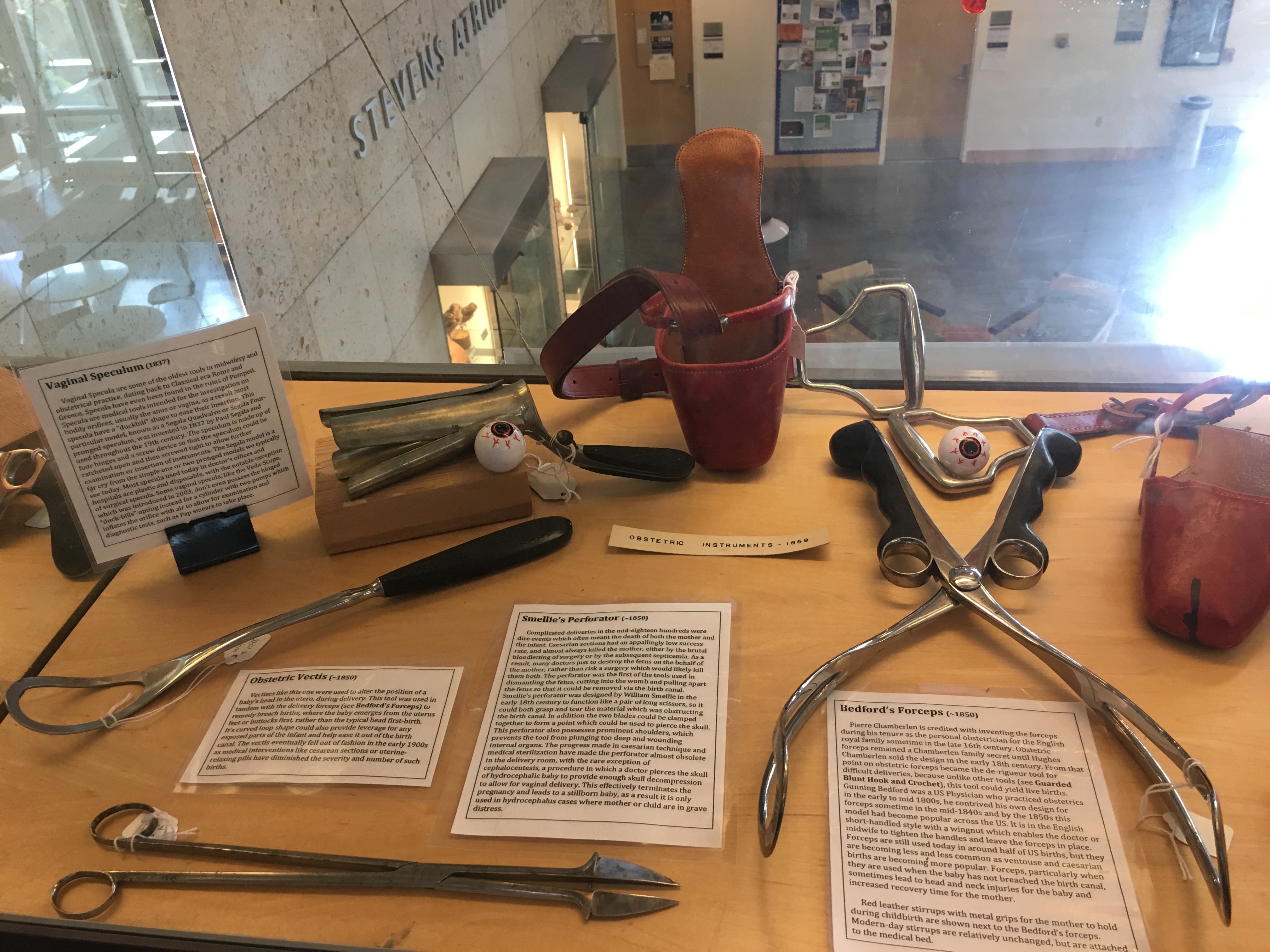 Exhibit Picture