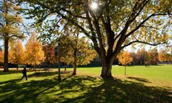 Whitman's campus in the fall