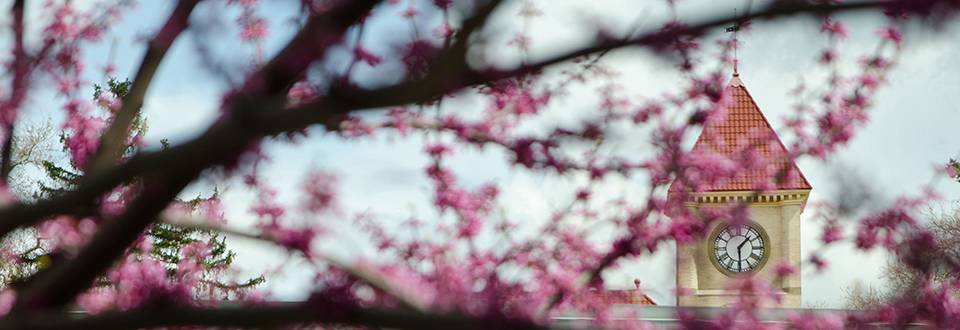 Spring blooms with Memorial Building in the background