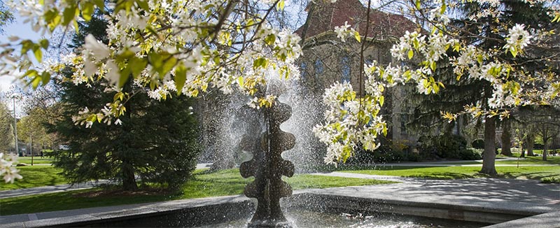 Photo of the fountain by the Sherwood Athletic Center and the back of the Memorial Building.