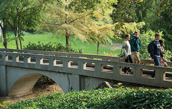 Class of 1908 Bridge near Cordiner Glen