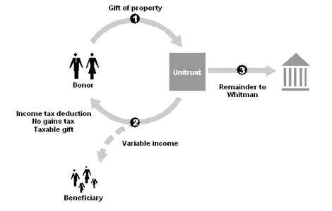 Example of a Wealth Transfer Standart Crut