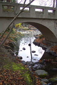 bridge