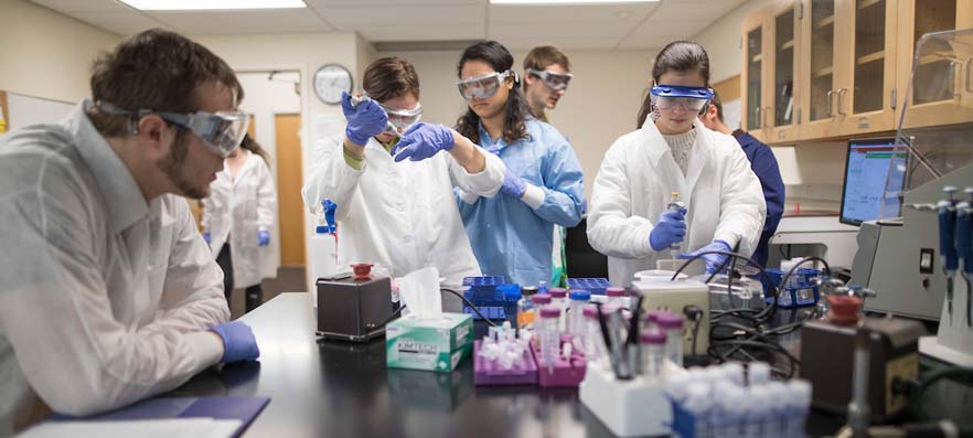 Students working in the lab