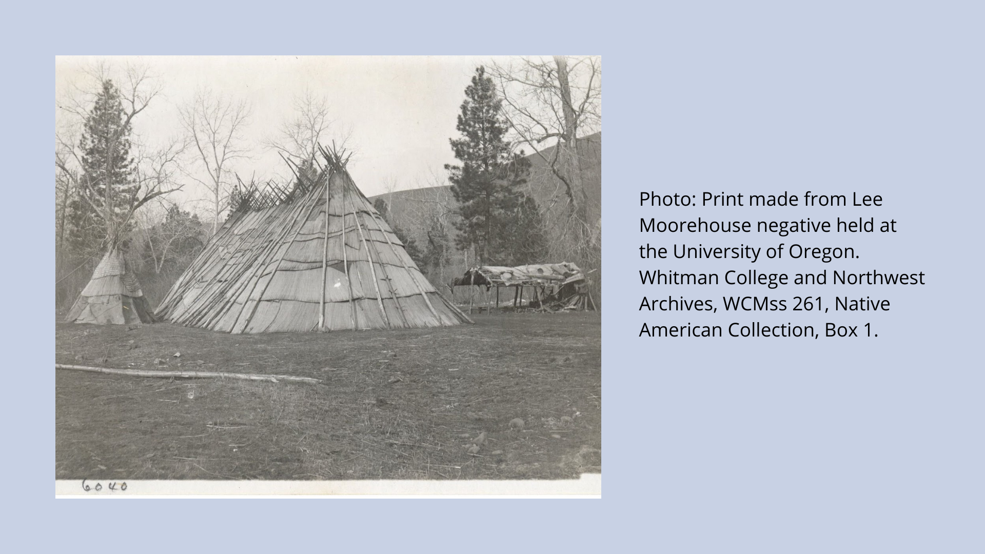Undated historical photo of a Long Tent at a Umatilla Indian Camp