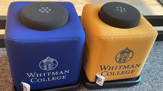 two catch boxes, blue and yellow cubes with Whitman logos on the front.