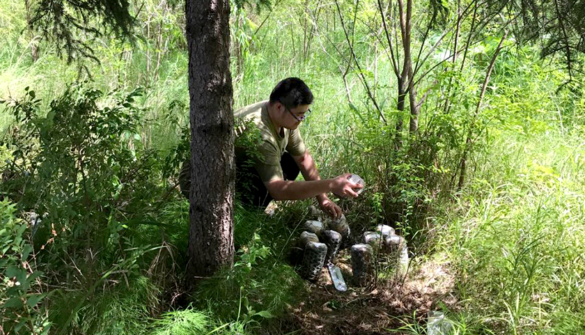 Bojun Zhao looks for fungi to monitor its grown in a forest in China for a summer internship. 