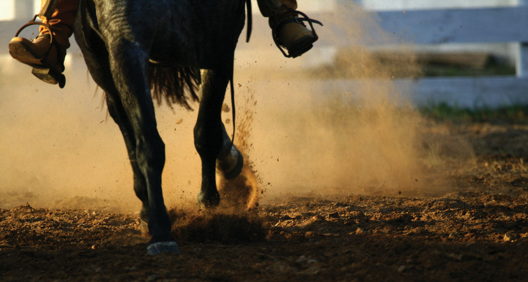 Horse and riders legs kicking up dust