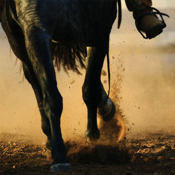 Horse and riders legs kicking up dust