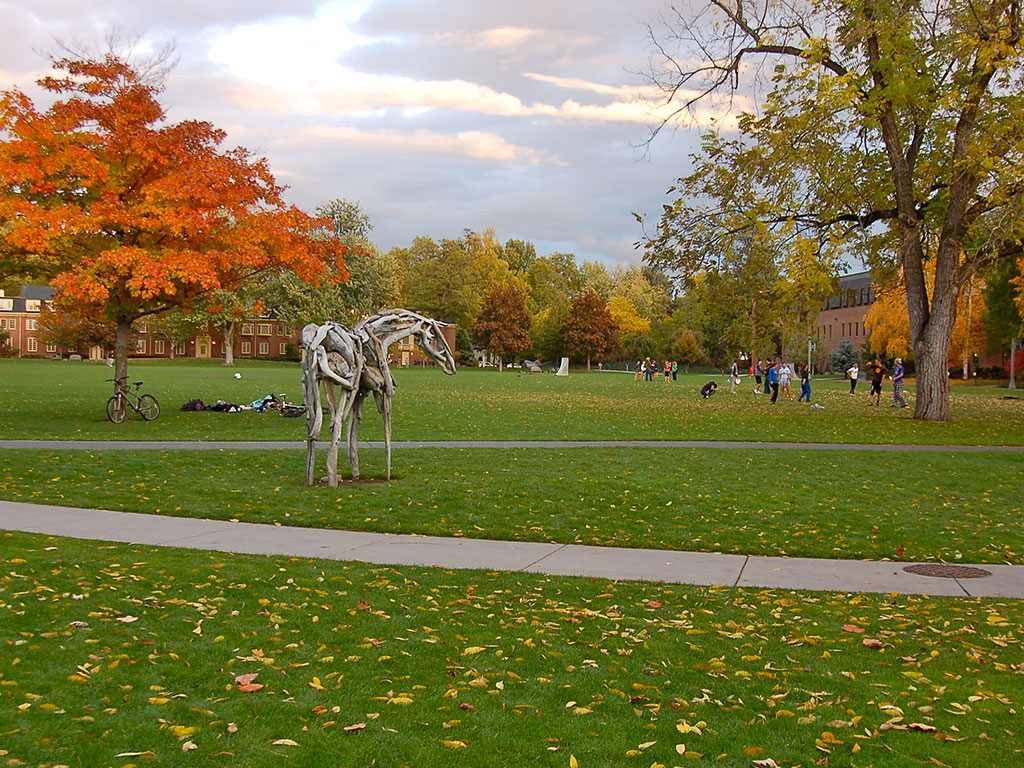 Ankeny Field in fall