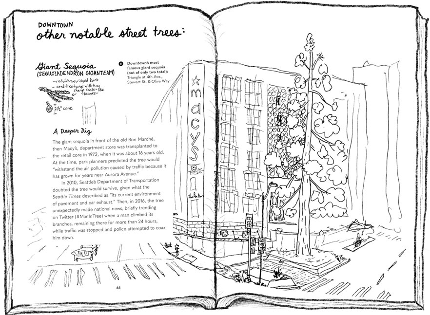 A page titled "Downtown: Other notable street trees" from "Street Trees of Seattle"
