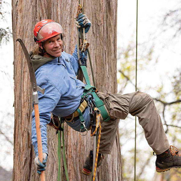 Kirk Huffey working in a tree.