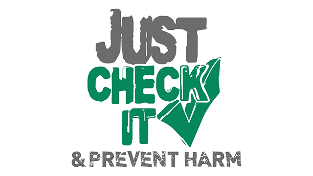 Gray and green text on a white background: “Just Check It