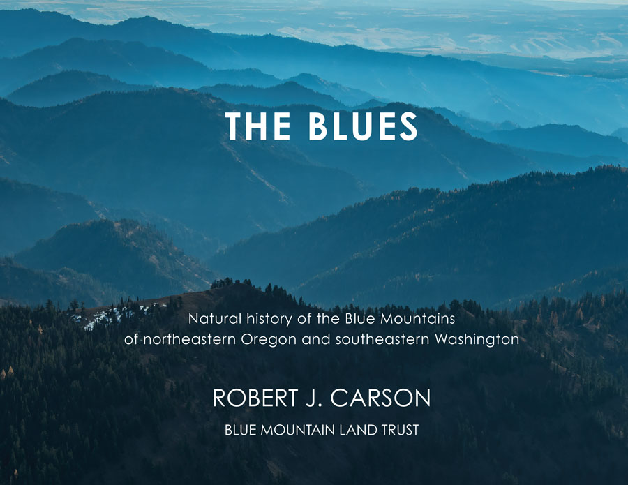 Front cover of The Blues