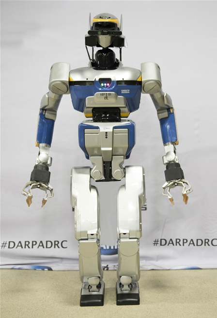 Rise of the Robots