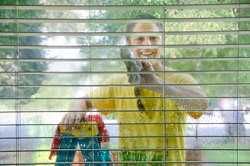 Window Washing