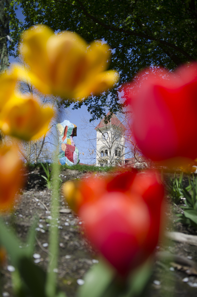 Spring Visitors' Day 2014