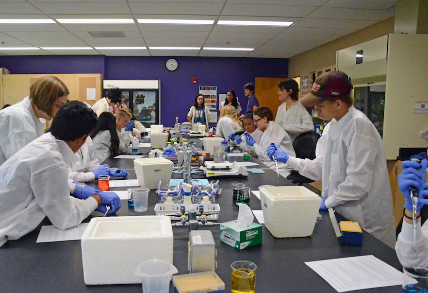 Students in the WISE program extract DNA samples during a biology lab taught by Assistant Professor of Biology Arielle Cooley (left, standing). 