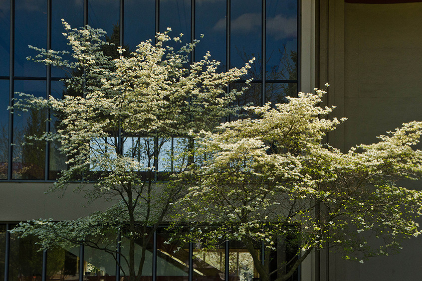 Cordiner Hall exterior