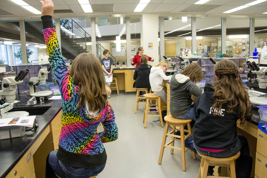 A girl raises her hand during a Great Explorations lab class held in the Whitman Hall of Science in 2015. PHOTO BY HALLEY McCORMICK '15