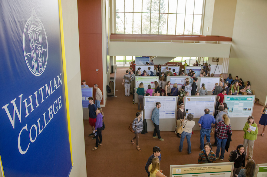 Students showcase their scholarly pursuits during a poster session in 2015 in the Cordiner Hall foyer.