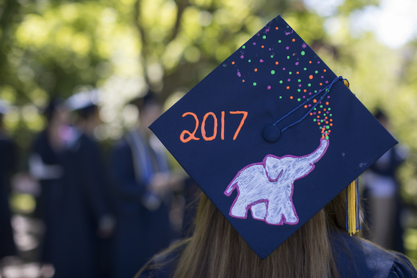 Cap with stencil of elephant with glitter and "2017"