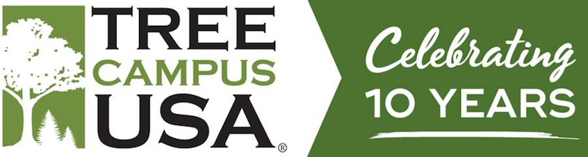 Tree Campus USA logo