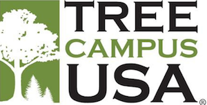 Tree Campus USA logo