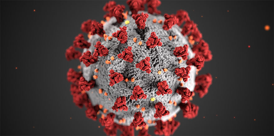 A CDC graphic of the COVID-19 virus.