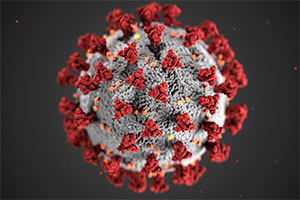 A CDC graphic of the COVID-19 virus.