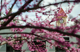 View of memorial building clock tower with spring blooms