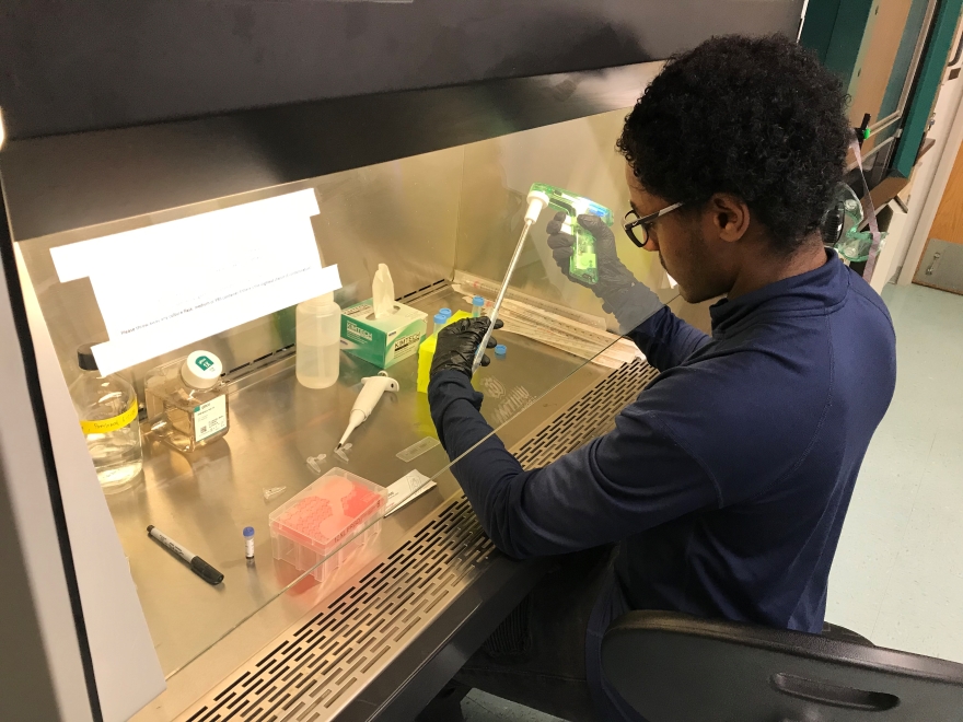 Saleh conducting research for his senior BBMB thesis.