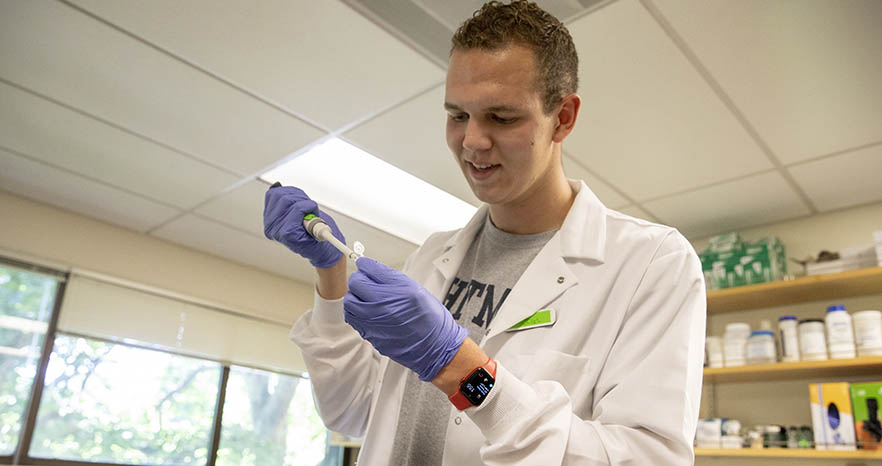 Rising senior Austin Chiles is researching plant hormones in Professor Brit Moss' lab as a recipient of the Beckman Scholars Award. 