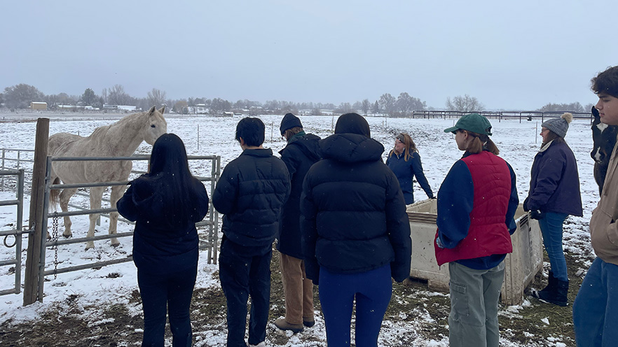 Assistant Professor of Psychology Nancy Day and her class at Alexa Maine’s boarding facility observing horses.