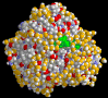 Myoglobin Image