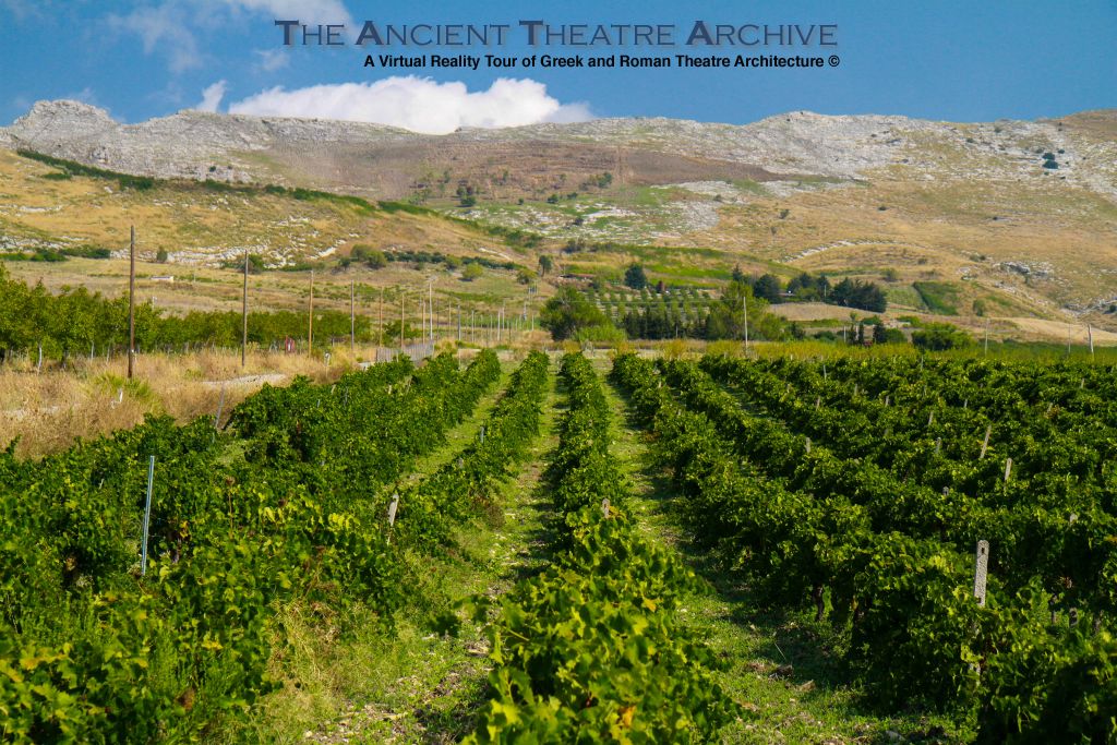 Cultivated fields in the hills of San Giuseppe Jato, Sicily, Italy. Photo: T Hines 2019.